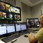 Общественное телевидение России начало вещание