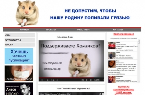 В День Победы сайты целого ряда российских СМИ атаковали хакеры