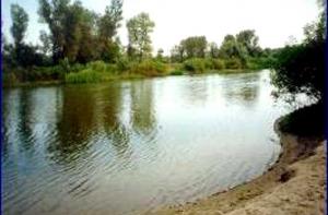 Вода в реках прогрелась до +22 градусов
