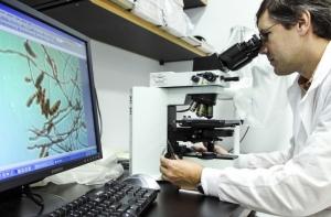 Детский менингит добрался до Москвы