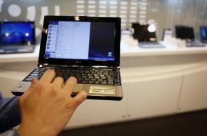 Эксперты оценили стоимость испорченных котами нетбуков