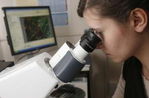 Врачи: к 2020 году раком будет болеть половина британцев