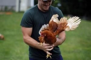 В курятине из США, РФ и Белоруссии обнаружены свинец и мышьяк