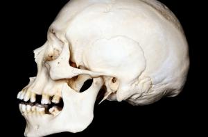 В одном из подъездов нашли человеческий череп