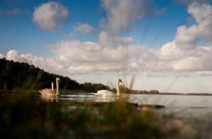 Спасатели призывают людей соблюдать осторожность на воде (АУДИО)