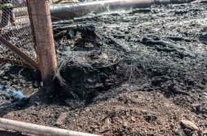 Полиция начала уголовный процесс о гибели двух детей в результате пожара