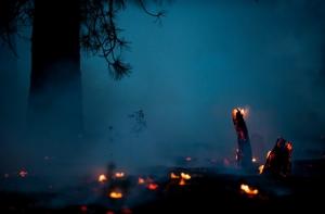 Пожары в Колорадо: 40 тысяч эвакуировано