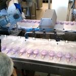 Food Union: латвийцы любят мороженое больше, чем россияне (ВИДЕО)