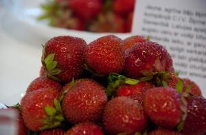 Урожай клубники в Латвии в этом году хуже прошлогоднего