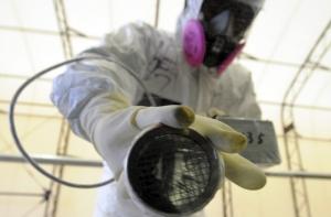 В японской префектуре Фукусима зарегистрировано землетрясение