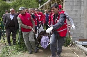 Пражский зоопарк приступил к эвакуации животных