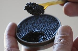 В Испании туристов научат изготавливать икру