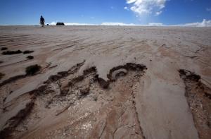 Мальчика на пляже засыпало песком