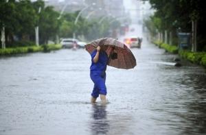 Тайфун «Соулик» ослаб до уровня тропической депрессии