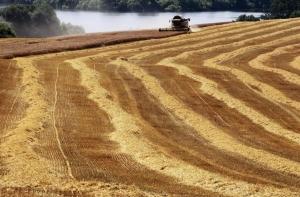 Латвийские фермеры выкупают землю у иностранцев