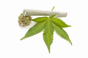 Российские инвесторы вложились в лекарства на основе марихуаны