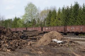 Гражданин Грузии пытался въехать в Латвию в вагоне с углем
