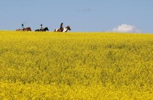 Выросли потребительские расходы домохозяйств