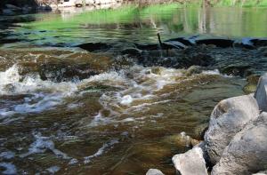 Эксперт: отдыхать нужно только там, где есть спасатели (АУДИО)