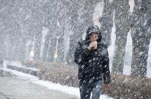 Натуралист: зима будет холодной (АУДИО)