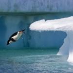 Мировой океан поднялся на 20 метров