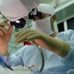 В России перевернулся автобус: 42 человека в больнице