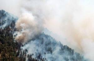 В пожарах из-за жары в Аризоне погибли 19 пожарных