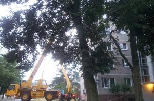 фотки межциемс