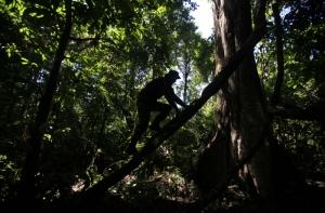 В джунглях Вьетнама нашли живыми людей, пропавших 40 лет назад