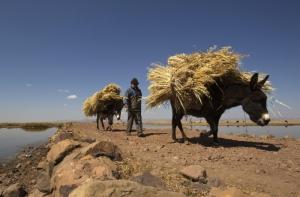 У озера Титикака живет рекордсмен по возрасту: ему 123 года
