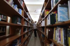 Кубанского кота устроили на работу в библиотеку