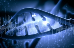 Бог оставил послание человеку внутри его генома