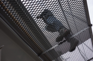 Доклад: в тюрьмах Гондураса люди умирают сотнями