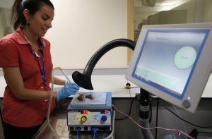 Ученые разгадали тайну рака