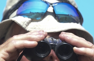 Новая Зеландия будет шпионить за людьми