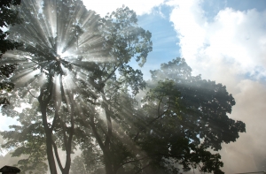 Пожар в здании Rīgas Ūdens ликвидирован