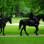 Полиция усиленно контролирует места скопления молодежи