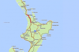 Женщина проехала 300 километров, заснув за рулем