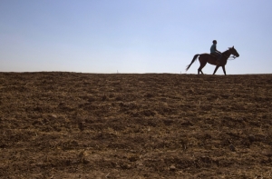 СМИ: в Азербайджане запретили «Белое солнце пустыни»