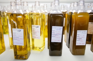 Исследование: оливковое масло предотвращает потерю памяти