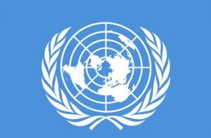 Великобритания и США добиваются созыва внеочерного заседания СБ ООН