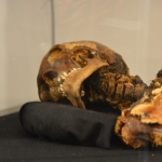 Рижанка два года скрывала труп ради пенсии