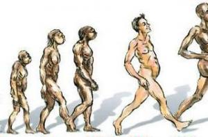 Ученые: за 100 лет европейцы выросли на 10 сантиметров