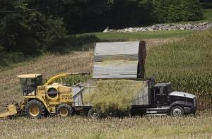 Минземледелия обещает обильный урожай зерновых