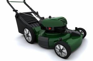 Канадца обвинили в вождении газонокосилки в нетрезвом виде