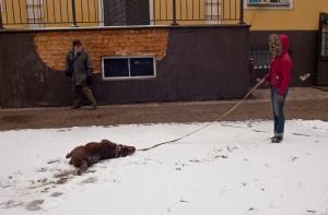 Синоптики обещают мокрый снег (АУДИО)