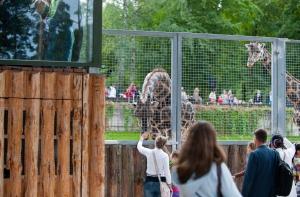 Рижский зоопарк после введения евро поднимает цены на билеты