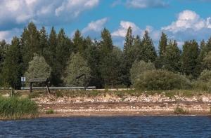 Шесть человек заблудились в лесу