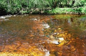 Бросившаяся с детьми в Венту женщина признана невменяемой