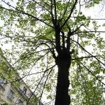На этой неделе в Латвии будет солнечно и сухо